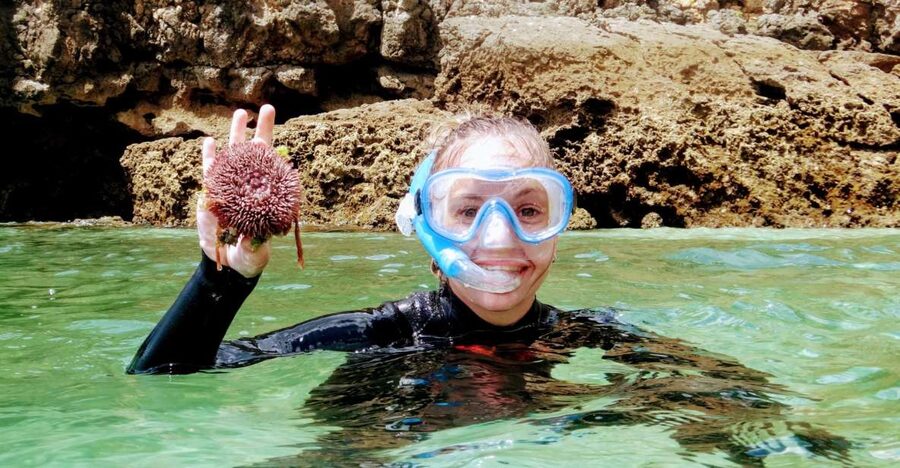 Lisbon: Arrábida Snorkeling Adventure - What the snorkeling session is like