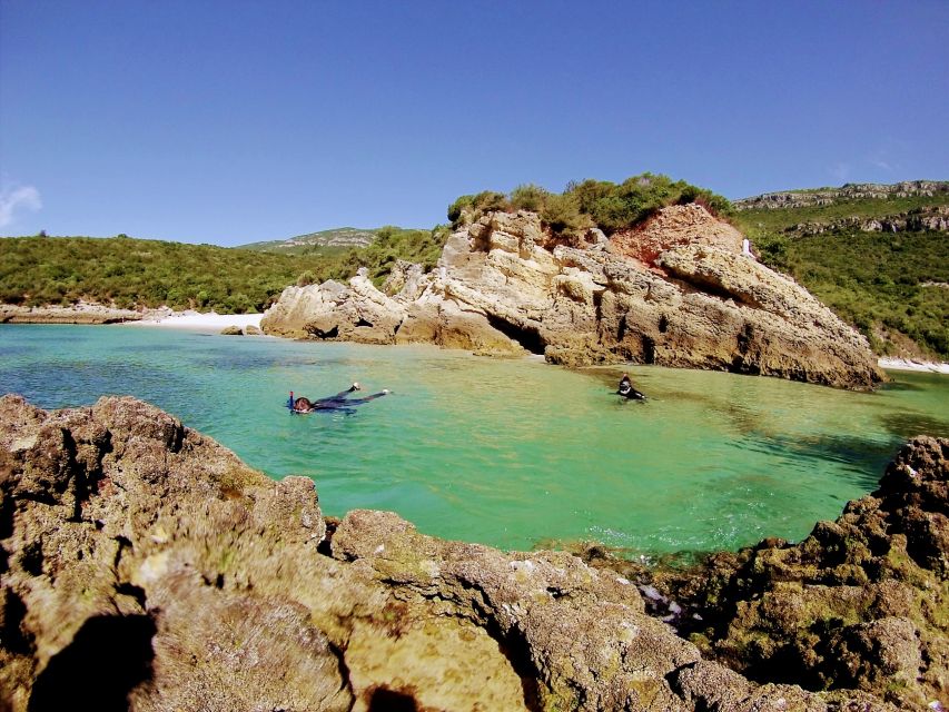 Lisbon: Arrábida Snorkeling Adventure - How Arrábida rewards a slower look