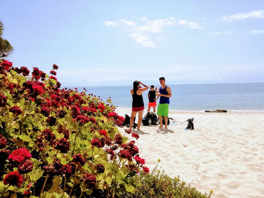 Lisbon: Arrábida Snorkeling Adventure - What is included for $94