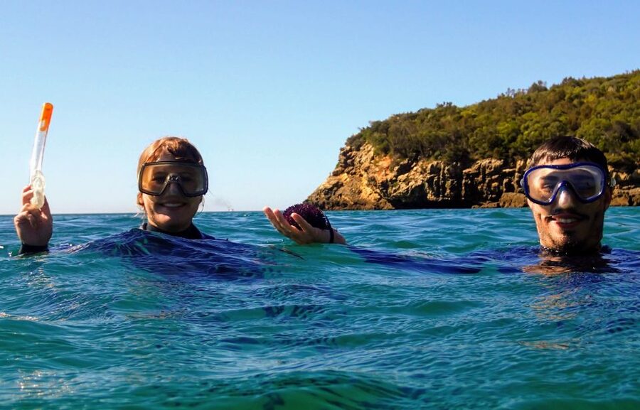 Lisbon: Arrábida Snorkeling Adventure - Group size, guides, and the personal touch