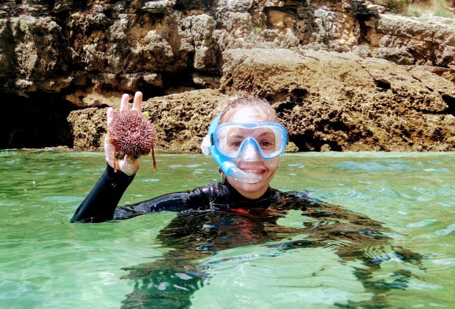 Lisbon: Arrábida Snorkeling Adventure - A five-hour outing with more than snorkeling