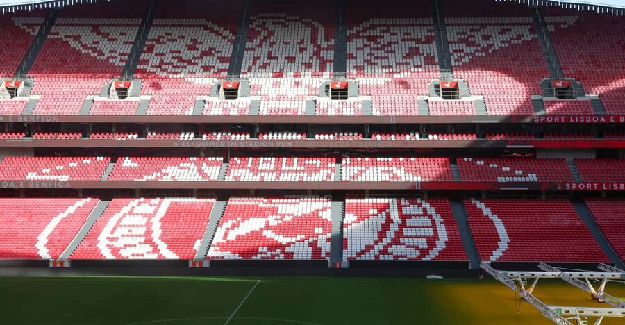 Lisbon: Benfica Luz Stadium Tour with Souvenir Scarf - The tunnel and pitch access