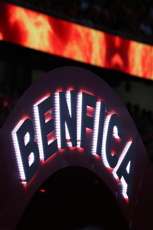 Lisbon: Benfica Luz Stadium Tour with Souvenir Scarf - Seeing Benfica’s eagles on the pitch