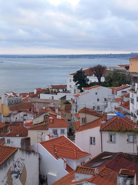 Lisbon: Chiado, Bairro Alto, and Principe Real Tuk Tuk Tour - What the guide adds to the route