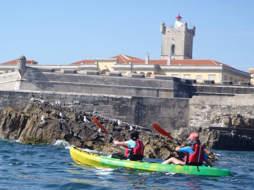 Lisbon: Coast Guided Kayak Tour - Forts seen from the water