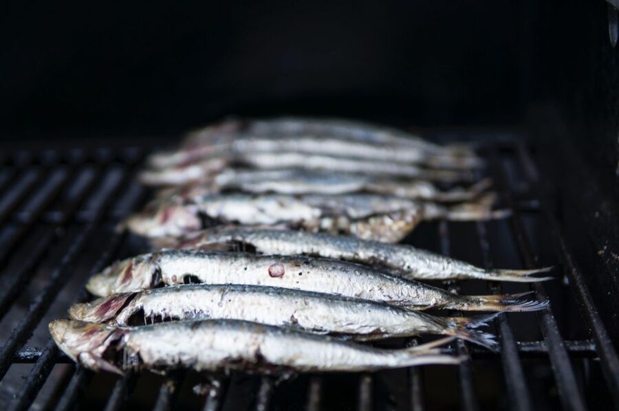 Lisbon: Cruise to the Beach with BBQ, Open Bar and Music - A party boat with a proper swim stop