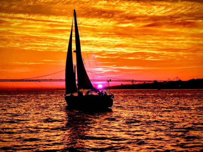 Lisbon: Daytime or Sunset Boat Cruise with History and Wine - MAAT, Cordoaria Nacional, and Lisbon’s changing waterfront