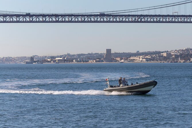 Lisbon: Dolphin Watching with a Marine Biologist - Ocean Safari - What the marine biologist adds
