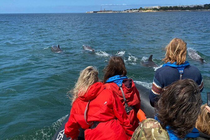 Lisbon: Dolphin Watching with Marine Biologist - Small Group - Lisbon landmarks from the Tagus
