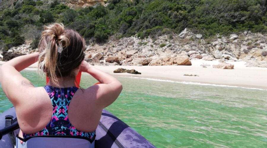 Lisbon: Full-Day Kayak Tour with Picnic and Transfer - Picnic Lunch and the Human Side of the Tour