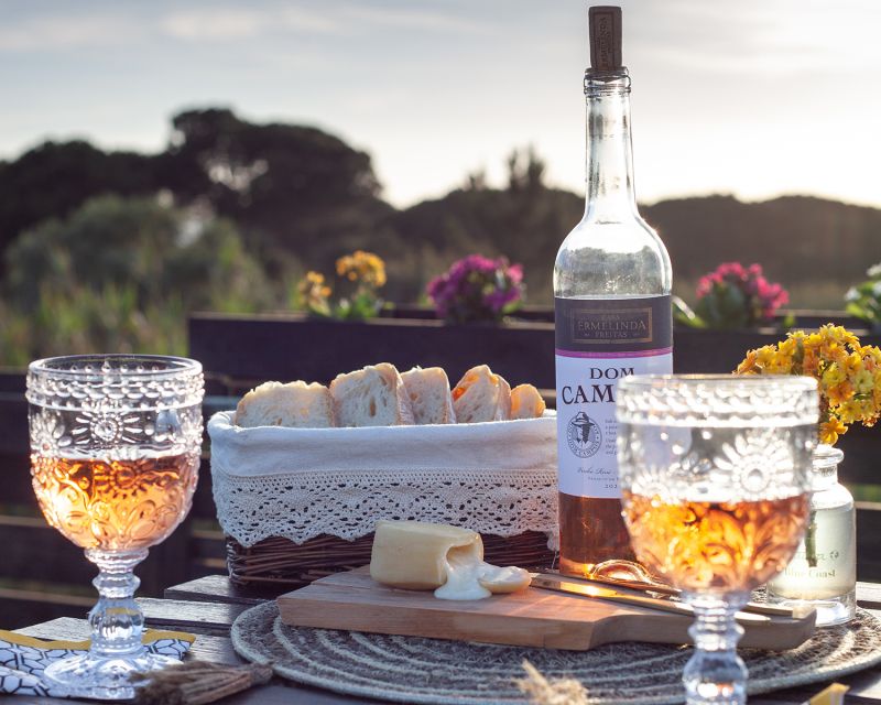 Lisbon Getaway: Private Arrábida Wine & Food Tour - Why this private Lisbon day trip works