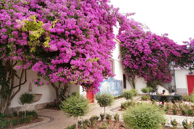 Lisbon Highlights - Private Tour with Van and Local Guide - Belém and the pastel break