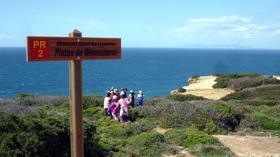 Lisbon: Hiking in Arrábida Natural Park - Plants, geology, and the older story of the park