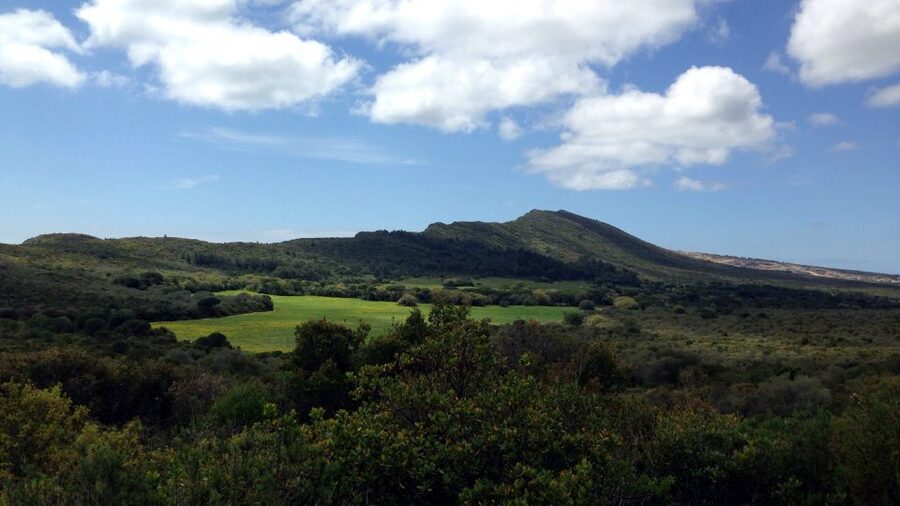 Lisbon: Hiking in Arrábida Natural Park - Walking paths above the Portuguese coast