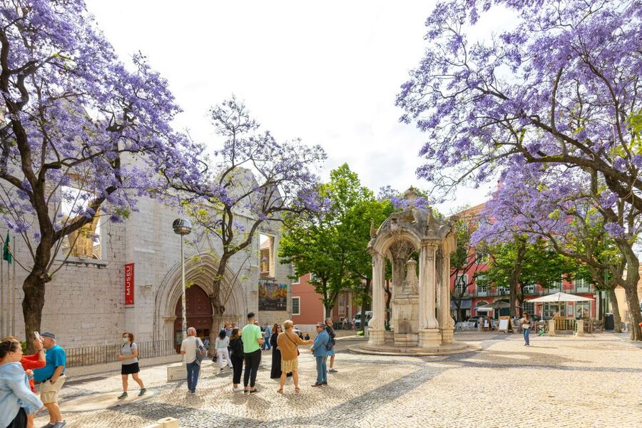 Lisbon: History, Stories and Lifestyle Walking Tour - Santa Justa Elevator and the Baixa grid