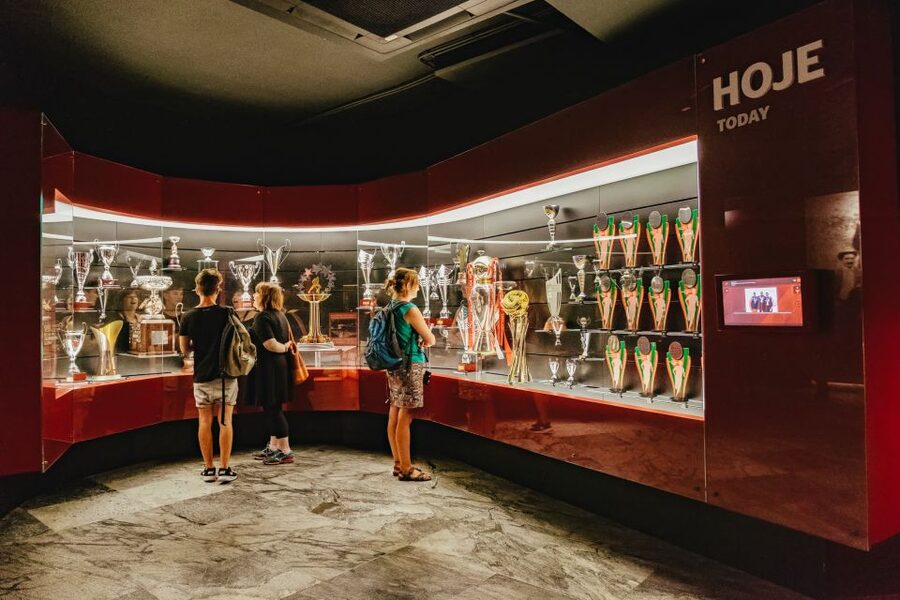 Lisbon: Luz Stadium Tour & SL Benfica Museum Ticket w/Scarf - The Cosme Damião Museum deserves extra time