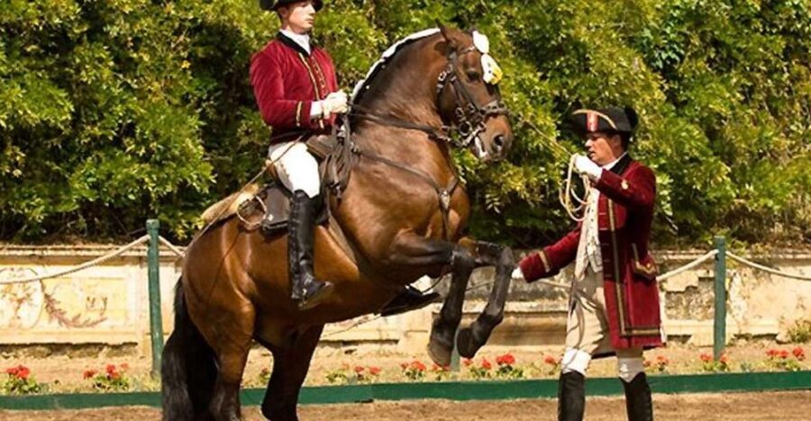 Lisbon: Morning of Equestrian Art with Lusitano Horses - The Nora Patio: A More Open Start