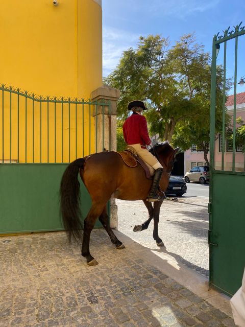 Lisbon: Morning of Equestrian Art with Lusitano Horses - The Audio Guide and What It Adds