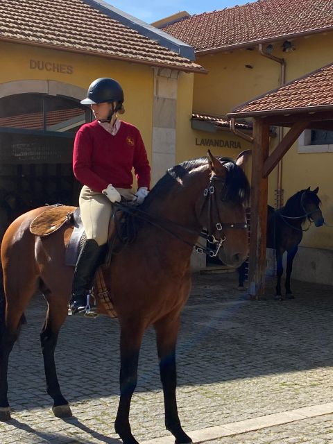 Lisbon: Morning of Equestrian Art with Lusitano Horses - Is $17 a Fair Price?