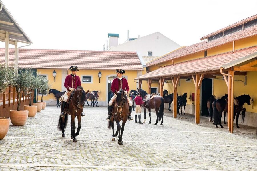 Lisbon: Morning of Equestrian Art with Lusitano Horses - Access, Clothing, and Practical Comfort