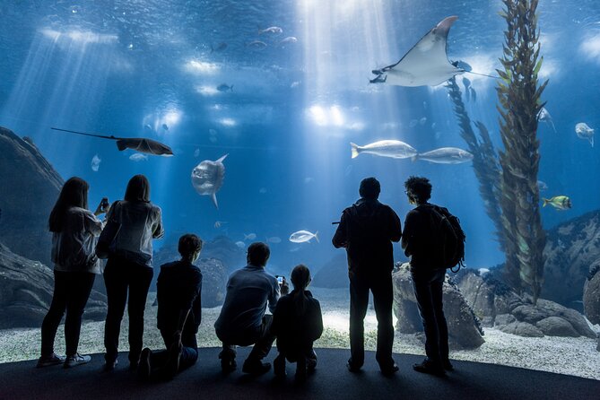 Lisbon Oceanario: Aquarium Entrance Ticket - Key points for deciding quickly