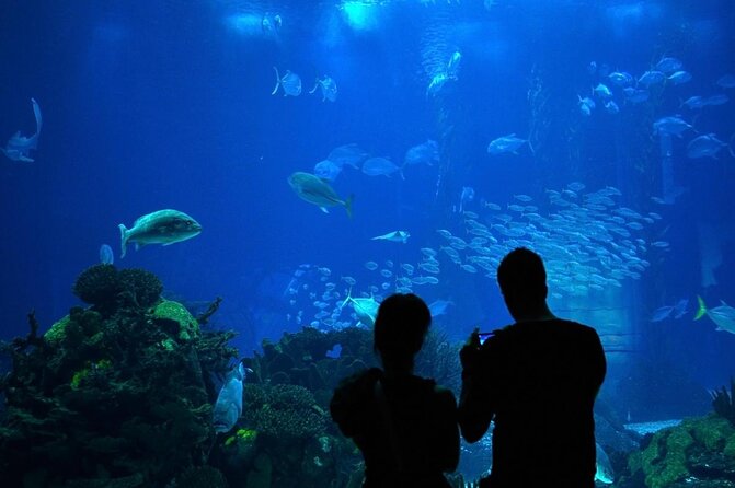 Lisbon Oceanario: Aquarium Entrance Ticket - The central tank is the real star