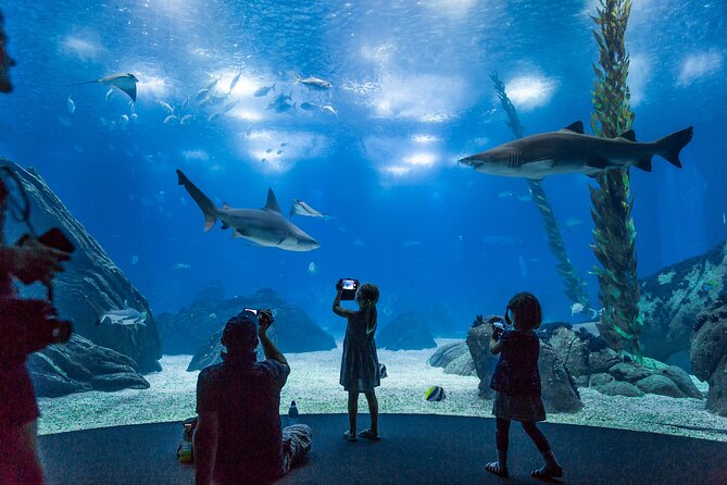 Lisbon Oceanario: Aquarium Entrance Ticket - Forests Underwater by Takashi Amano