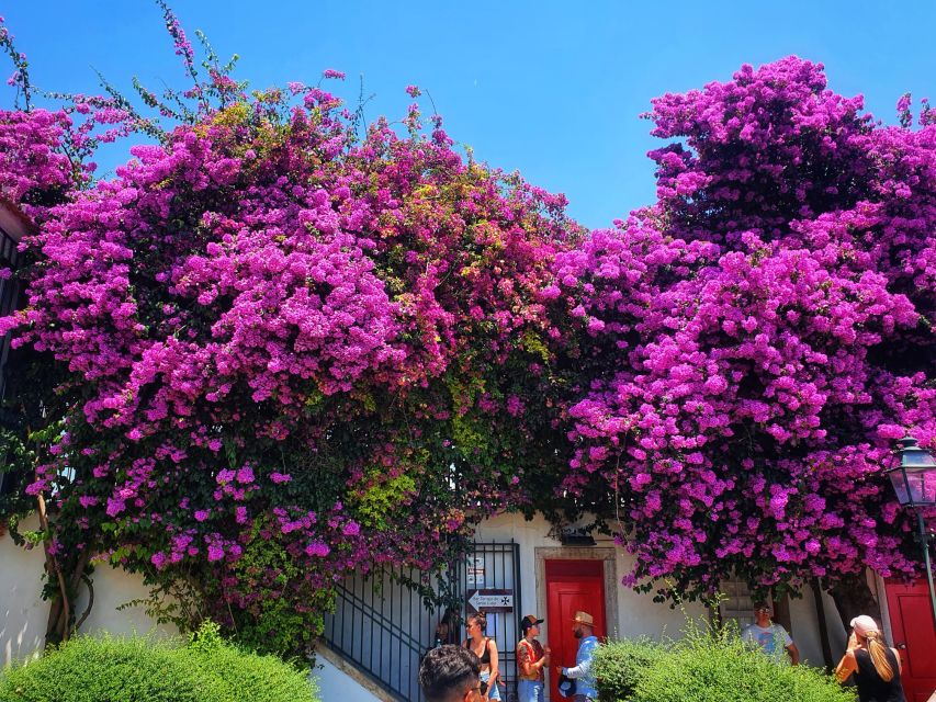 Lisbon: Old Town TukTuk Tour and Scenic Viewpoints in Alfama - Guide quality and the feel of the ride