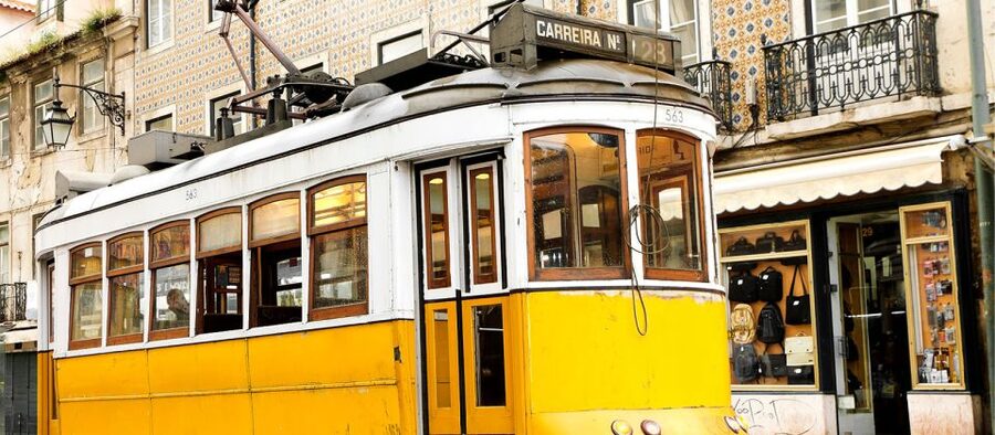 Lisbon: Private Full Day City Tour - Timing, walking, and the main drawbacks