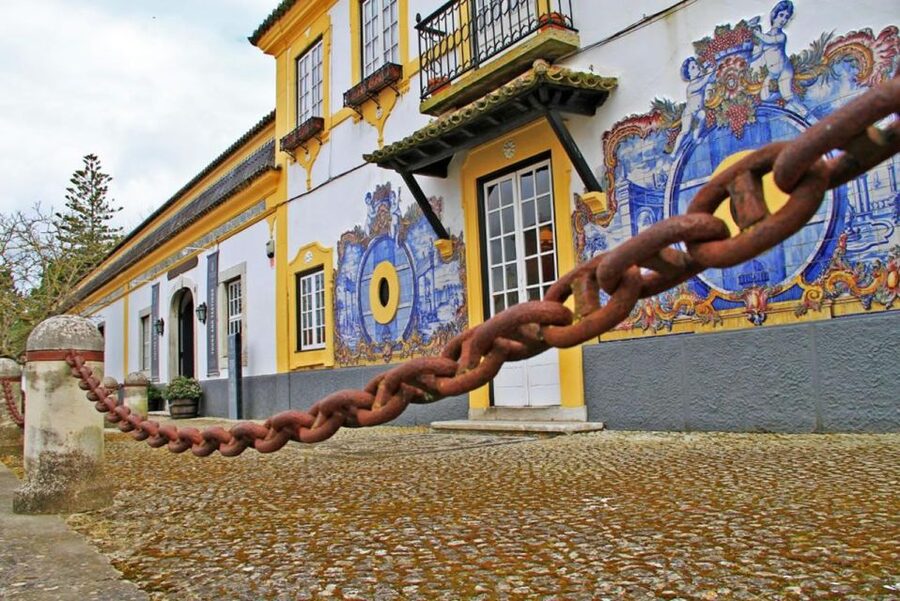 Lisbon: Private Full-Day Wine Tasting Tour in a premium car - Key points to know