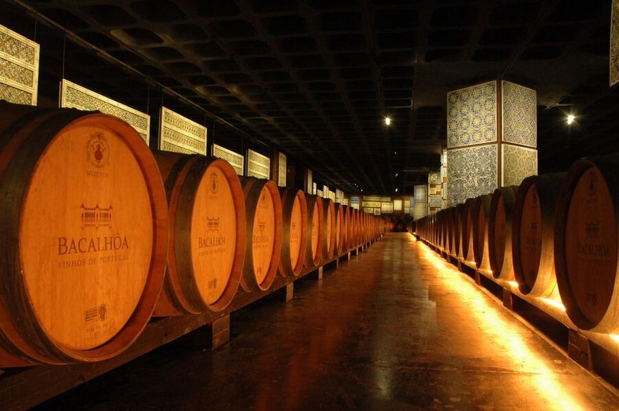 Lisbon: Private Full-Day Wine Tasting Tour in a premium car - Timing, pickup, and booking details
