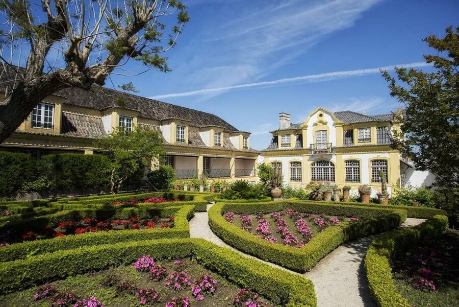 Lisbon: Private Full-Day Wine Tasting Tour in a premium car - How the value compares with a do-it-yourself day