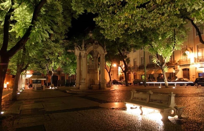 Lisbon: Private Night Tour with Fado Dinner Show - Who should book this Lisbon night tour?