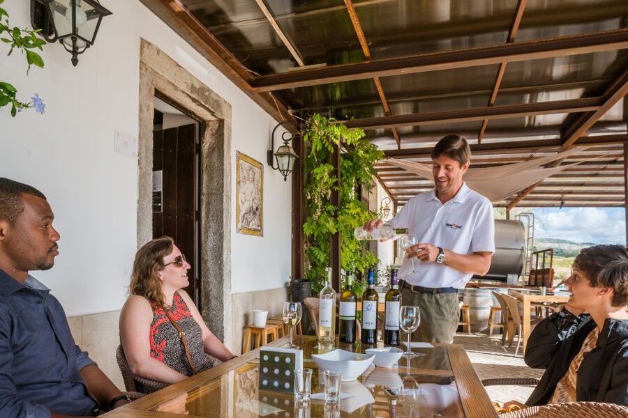 Lisbon Private Setúbal Region Wine Tasting Tour - Key points to know before booking