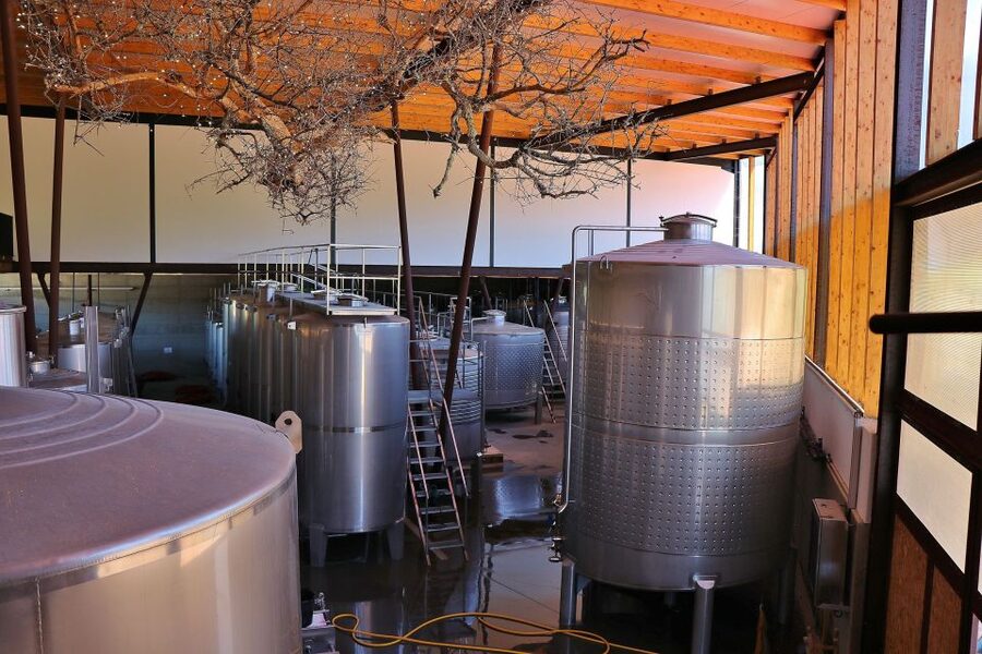 Lisbon Private Setúbal Region Wine Tasting Tour - Transport, timing, and comfort