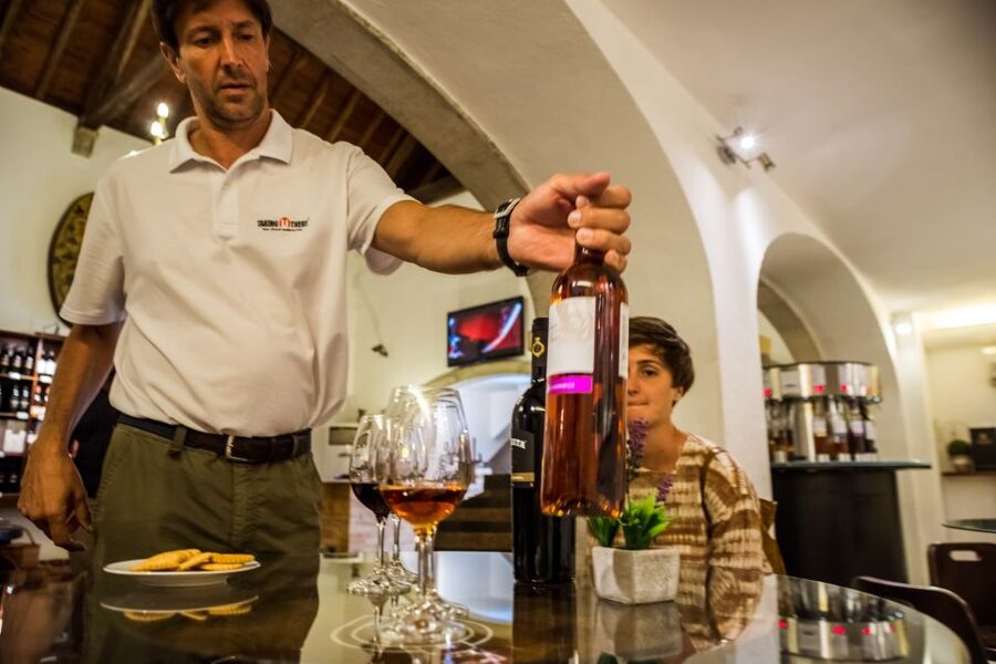 Lisbon Private Setúbal Region Wine Tasting Tour - Why Setúbal is a smart wine day from Lisbon