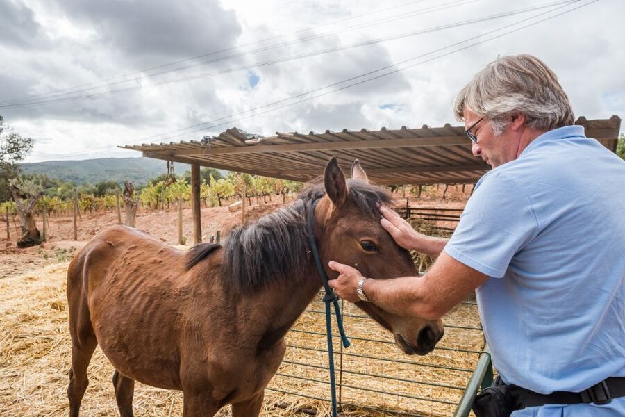 Lisbon Private Setúbal Region Wine Tasting Tour - The Setúbal region’s Mother House