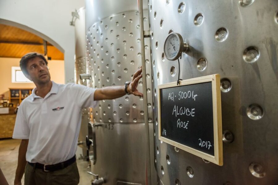 Lisbon Private Setúbal Region Wine Tasting Tour - What lunch adds to the six-hour schedule