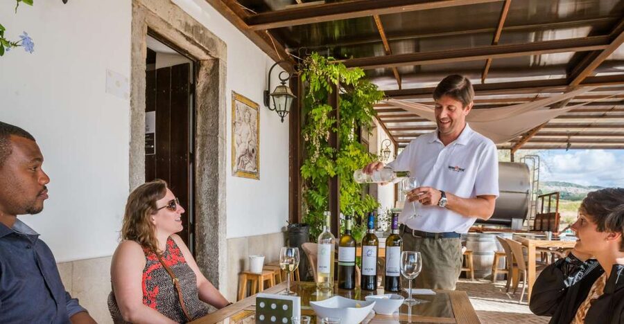 Lisbon Private Setúbal Region Wine Tasting Tour - Choosing between two wineries and three