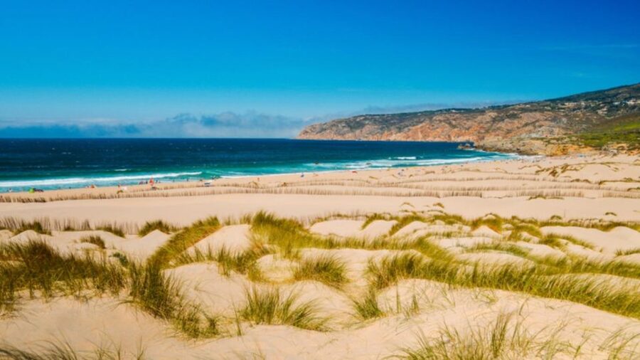 Lisbon: Sintra, Pena Palace, Cabo Roca Coast & Cascais Tour - Should you book it?