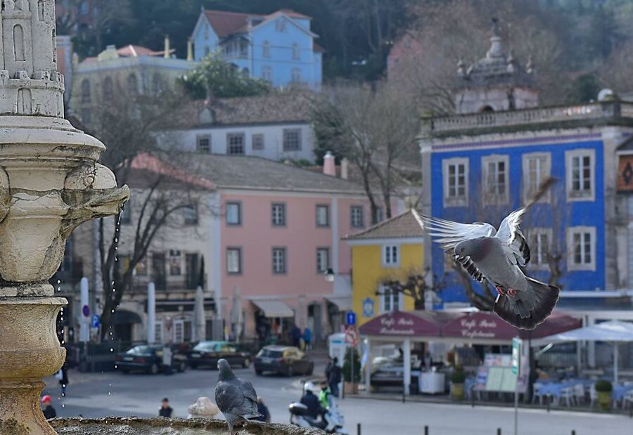 Lisbon: Sintra, Pena Palace, Quinta Regaleira, Cascais Tour - Why this day works well from Lisbon