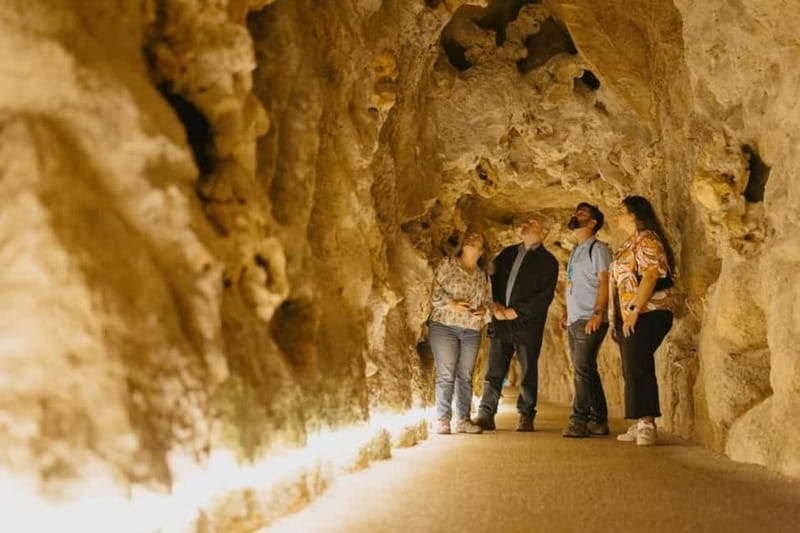 Lisbon: Sintra Tour with Optional Regaleira & Pena Gardens - Transport, crowds, and the real cost of the tour