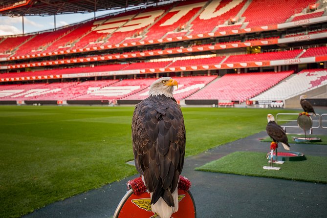 Lisbon SL Benfica Stadium & Museum Tour with Scarf - Getting there and planning around match dates