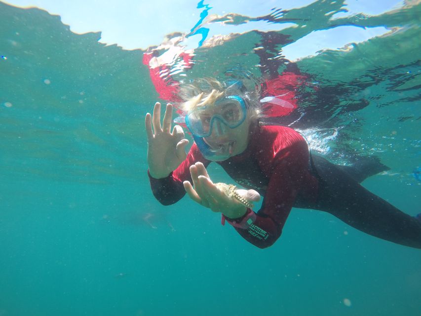 Lisbon: Snorkelling in Sesimbra/Arrábida Natural Park - Key points to know before you book