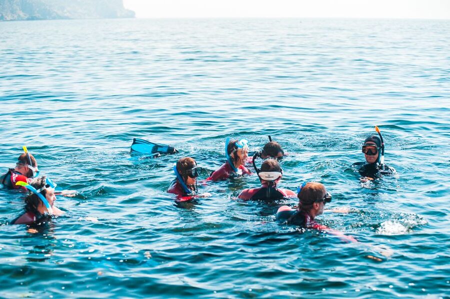 Lisbon: Snorkelling in Sesimbra/Arrábida Natural Park - Should you book this snorkeling trip?