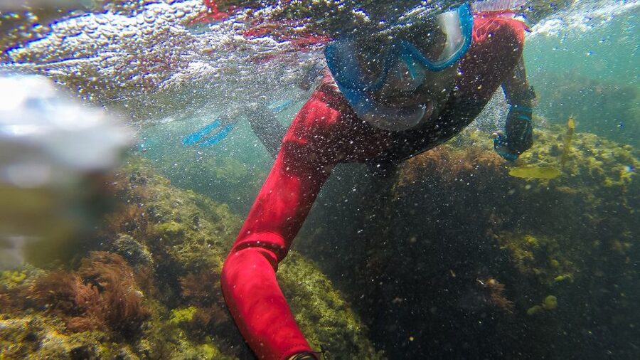 Lisbon: Snorkelling in Sesimbra/Arrábida Natural Park - Guides who keep the experience friendly