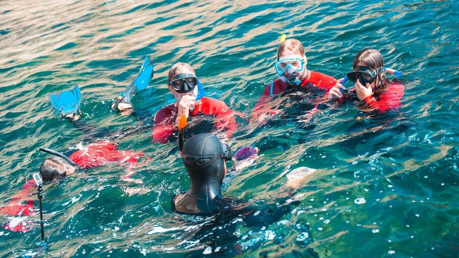 Lisbon: Snorkelling in Sesimbra/Arrábida Natural Park - Who will enjoy this most