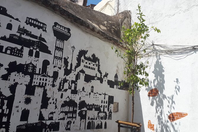 Lisbon: Street Art Tour - Why this Lisbon street art tour is more than a mural checklist