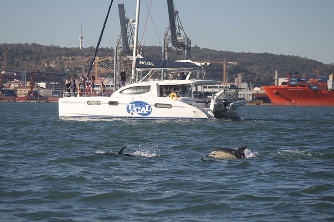 Lisbon: Sunset Cruise With Drinks on Spacious Yacht - The first views: Alfama, the Pantheon, and central Lisbon