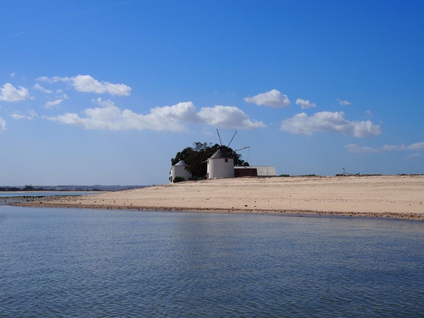 Lisbon: Tagus Estuary Nature Reserve Birdwatching Boat Tour - Why this estuary matters so close to Lisbon